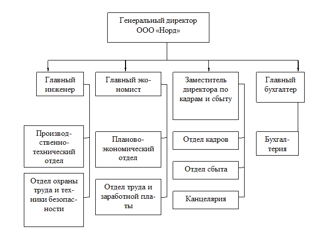 2.1 организационно экономическая характеристика ооо