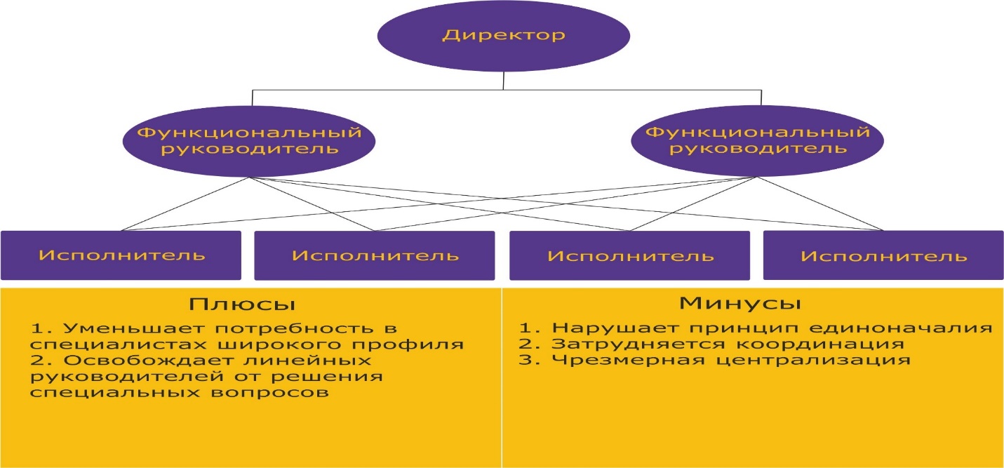 Функциональная организационная структура