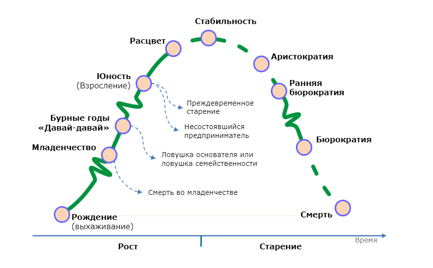 Стадии жизненного цикла по адизесу. Ицхак Адизес жизненный цикл компании. Ицхак Адизес модель жизненного цикла организации. Модель Адизеса жизненный цикл организации. Адизес стадии жизненного цикла.