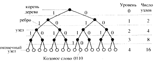Код дерева. Схематическое представление двоичных кодов. Дерево двоичного кода. Кодовое дерево. Дерево двоичных кодов.