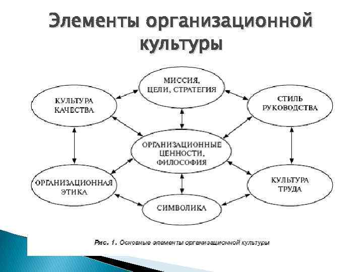 Структура культуры схема