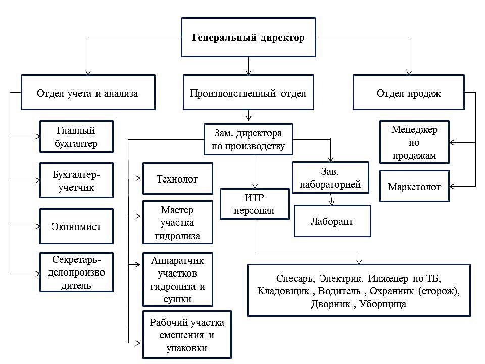 Ооо генеральное управление проектом