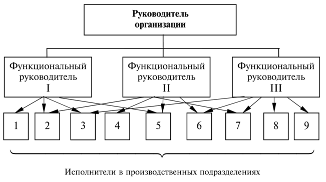 Функциональная организационная структура