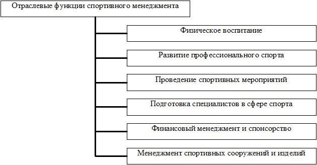 Отраслевые функции спортивного менеджмента