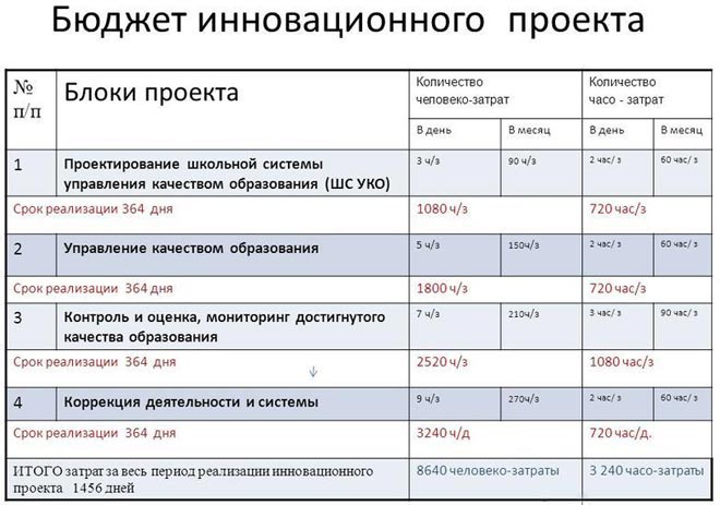 На стадии реализации проекта бюджет может быть изменен