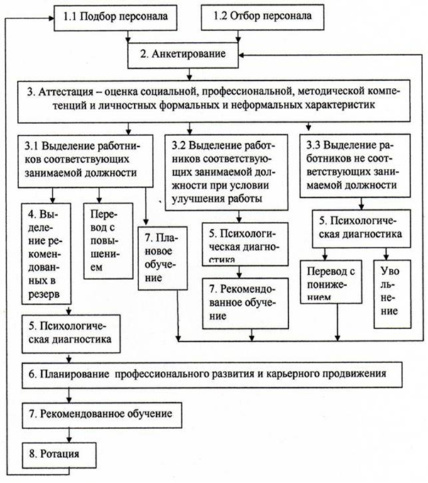 Планирование развития кадров. Этапы управления профессиональным развитием персонала. Процесс развития персонала в организации. Развитие персонала схема. Профессиональное развитие персонала схема.