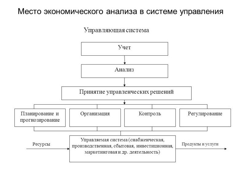 Курсовая анализ деятельности