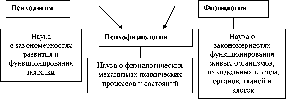 Психофизиология мышления схема