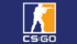 CS:GO