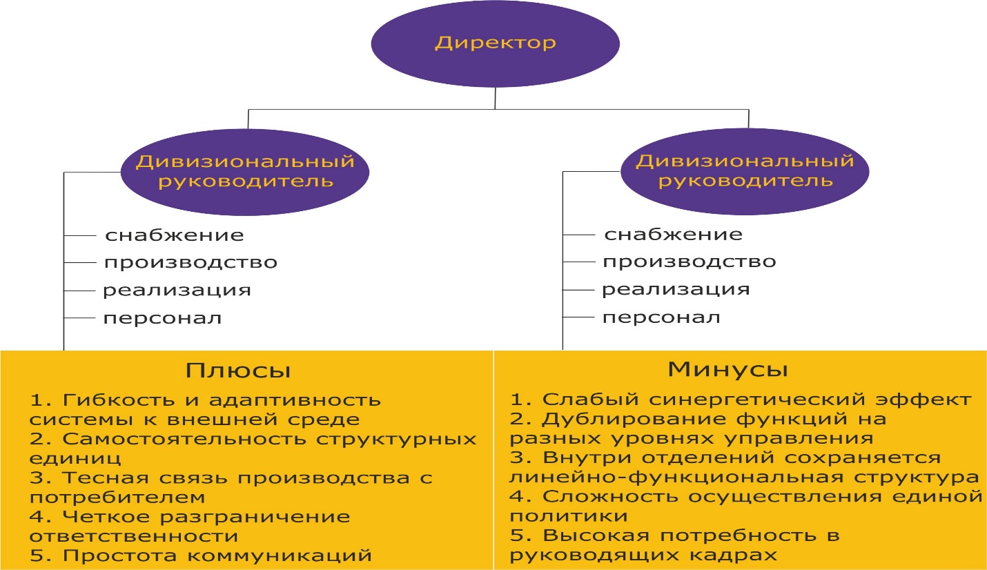 Дивизиональная организационная структура