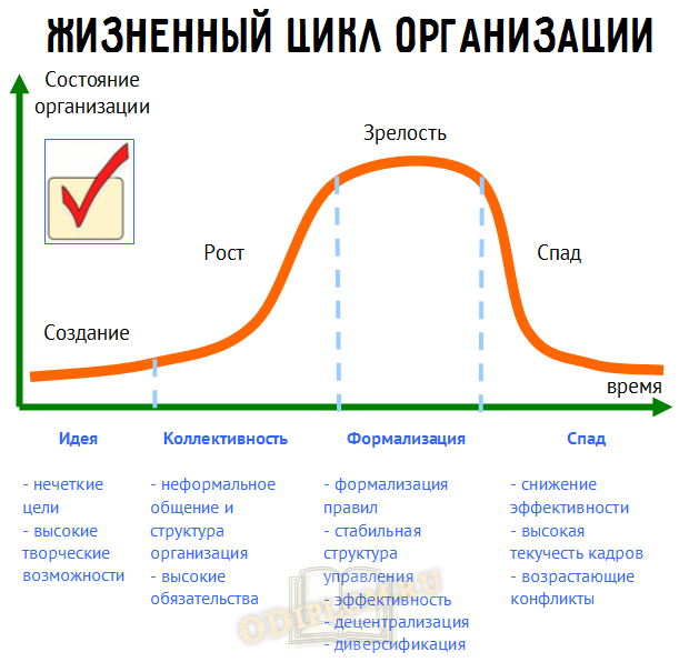 жизненный цикл организации