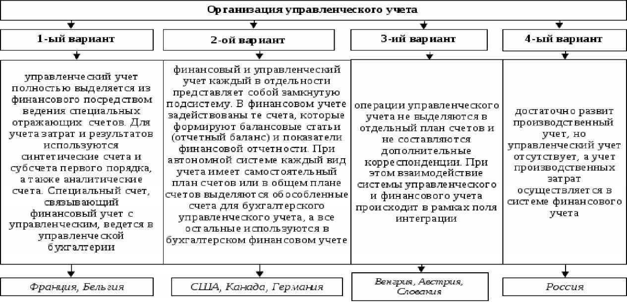 Отчетности курсовая. Организация управленческого и финансового учета курсовая.