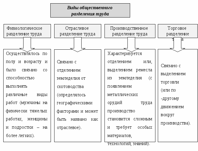 Общественное деление. Этапы общественного разделения труда таблица. Стадии общественного разделения труда. Общественное Разделение труда схема. Виды общественного разделения труда.