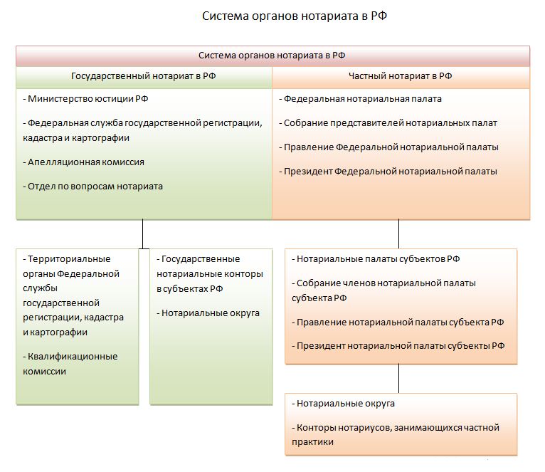 Нотариальные округи. Органы нотариальной палаты. Нотариальная палата субъекта. Федеральная нотариальная палата органы и полномочия. Структура Федеральной нотариальной палаты.
