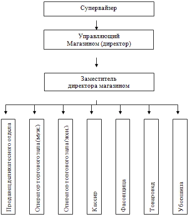 Схема организационной структуры пятерочки