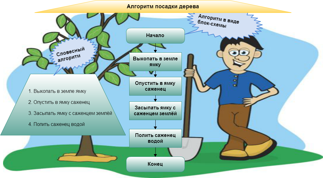 3 примера из жизни. Алгоритм. Примеры алгоритмов. Алго. Алгоритмы в повседневной жизни.