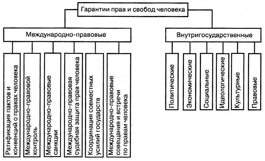 Права и свободы человека схема