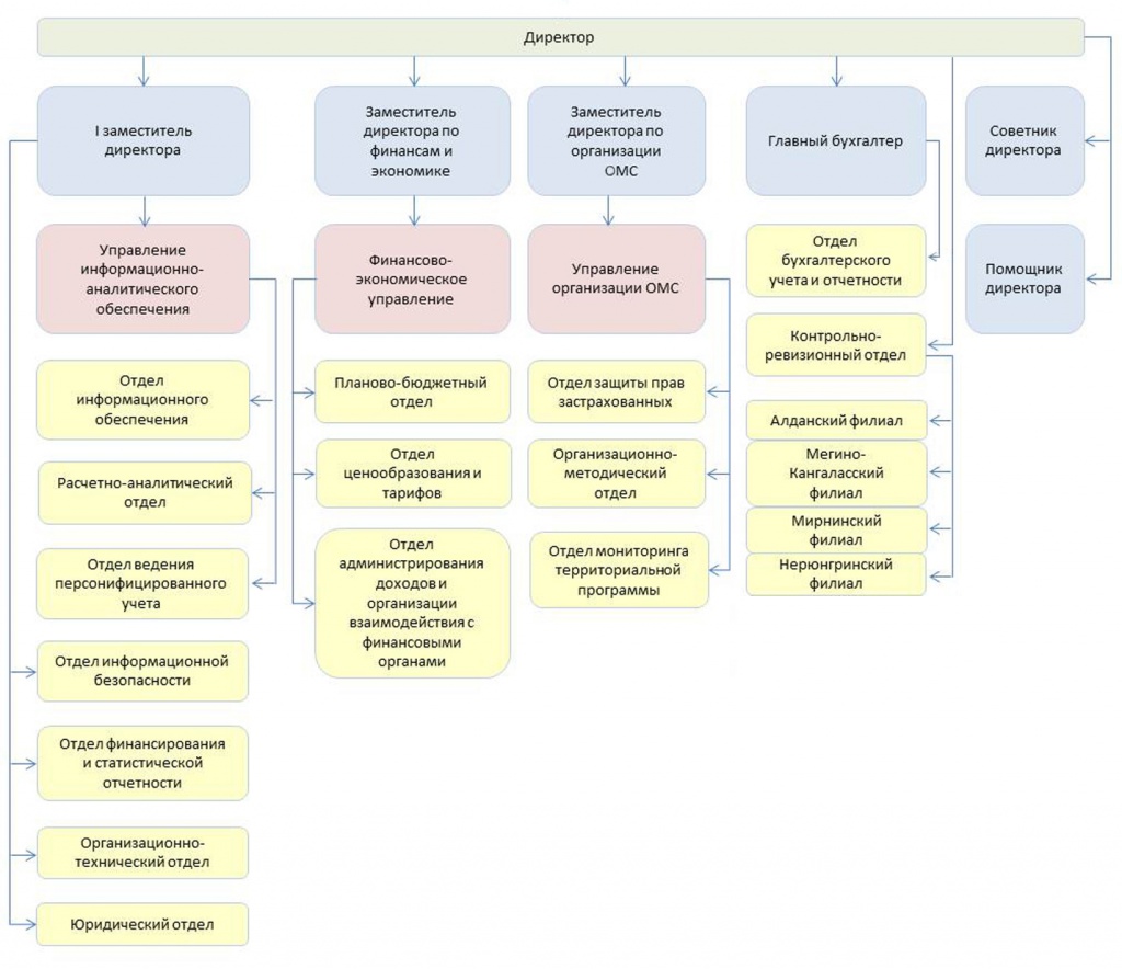 структура ОМС РСЯ.jpg