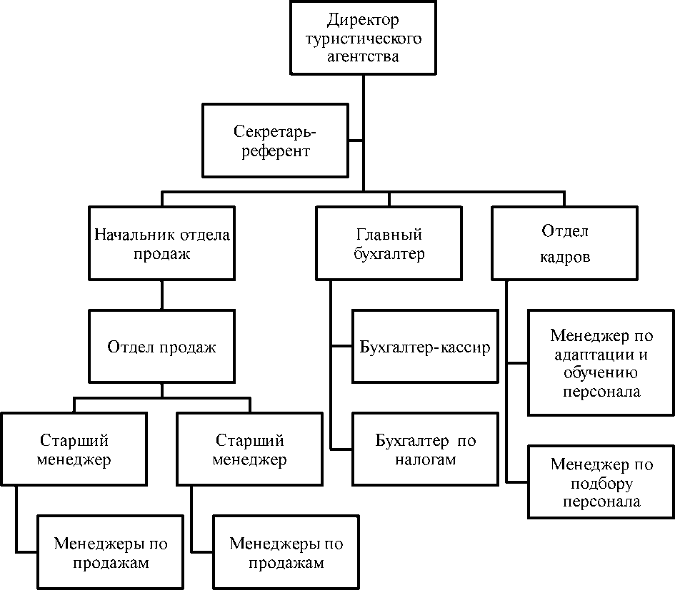 Организационная характеристика