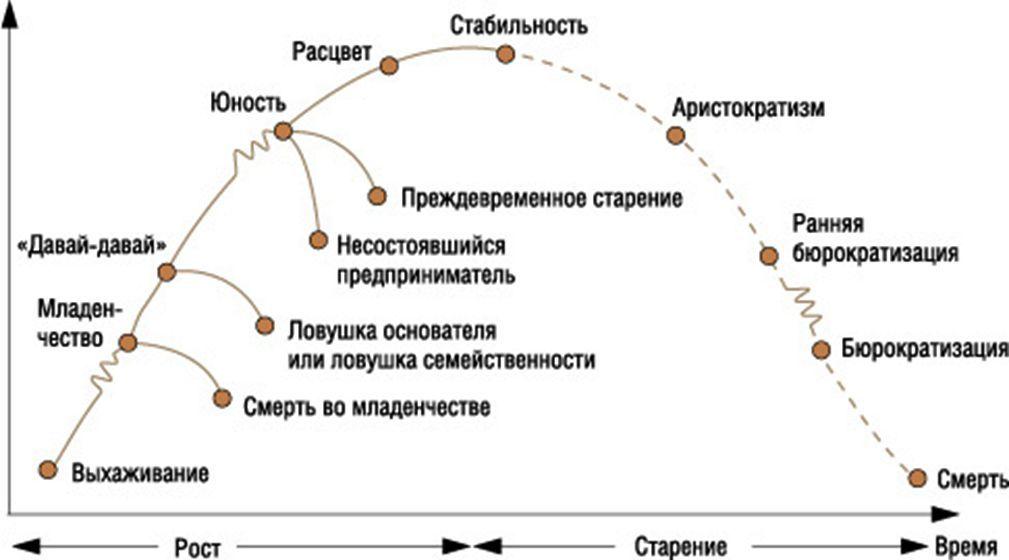 Модель и адизеса презентация