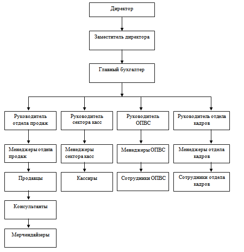 Схема структура торгового предприятия схема