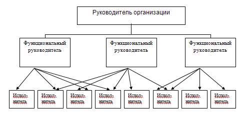 Функциональная организационная структура