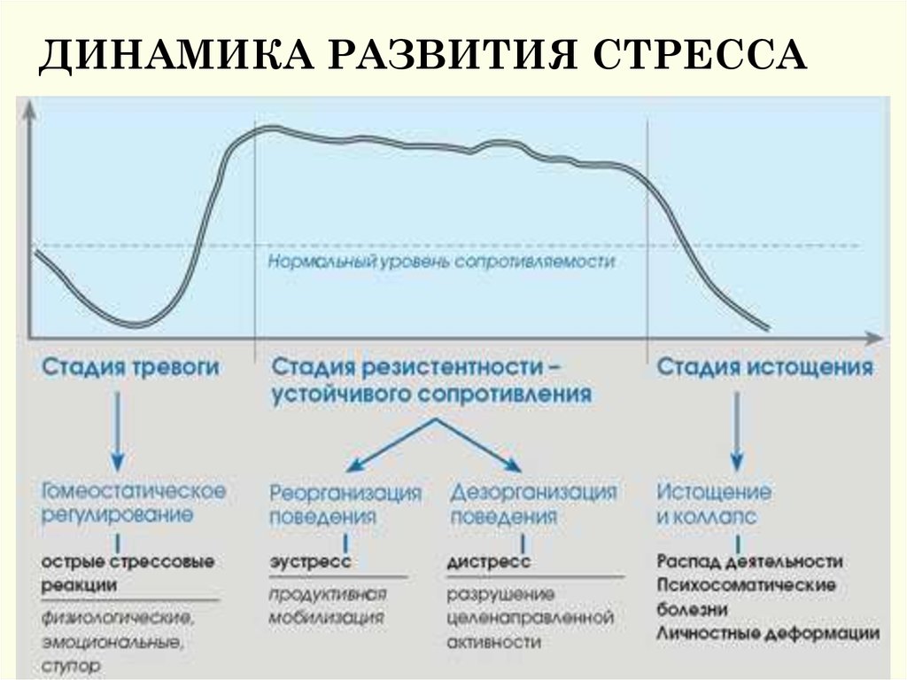 В схеме г селье автором описана такая последовательность протекания стресса