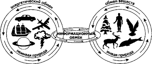 052714 1141 2 Информация в материальном мире