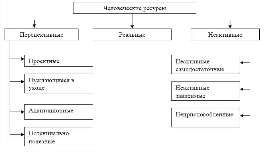 Ресурс курсовой. Структура человеческих ресурсов. Потенциально перспективные ресурсы. Ресурсы перспективного планирования это.