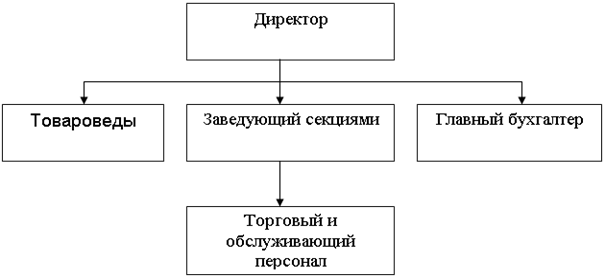 Организационная схема управления ООО «БРИЗ»