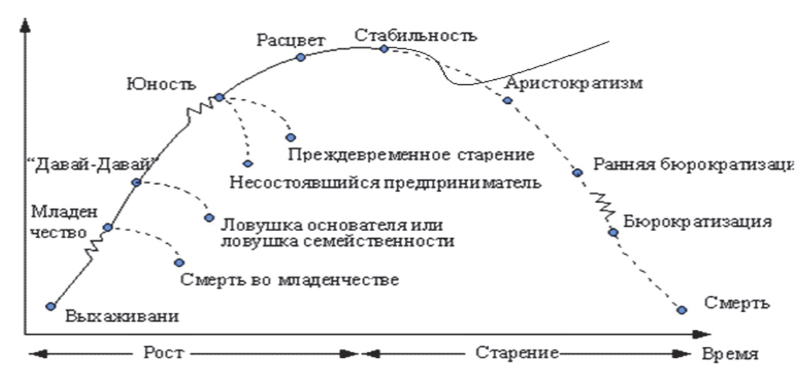 Жизненный цикл давай давай. Жизненный цикл организации и стратегии по Адизису. Аристократизм этап жизненного цикла.