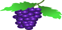 https://cdn.pixabay.com/photo/2012/04/14/15/31/grapes-34298_1280.png