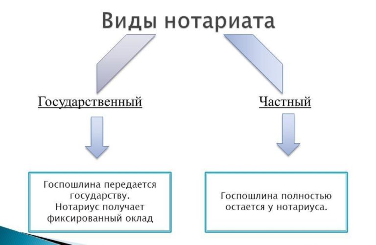 C:\Users\COD1\Desktop\схема нотариата.jpg