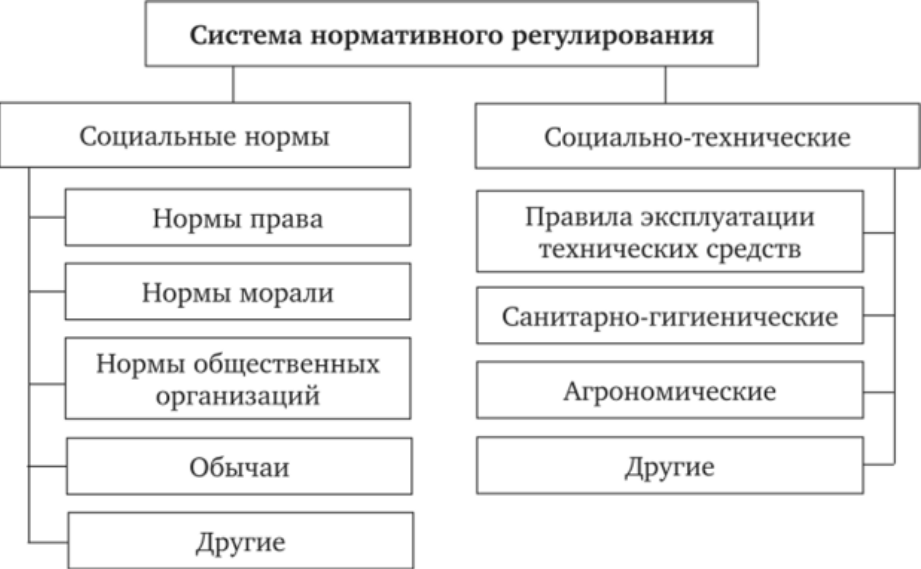 Нормативная система. Система нормативного регулирования общественных отношений. Элементы системы нормативного регулирования общественных отношений. Система нормативного регулирования общественных отношений ТГП. Понятие социально нормативного регулирования.