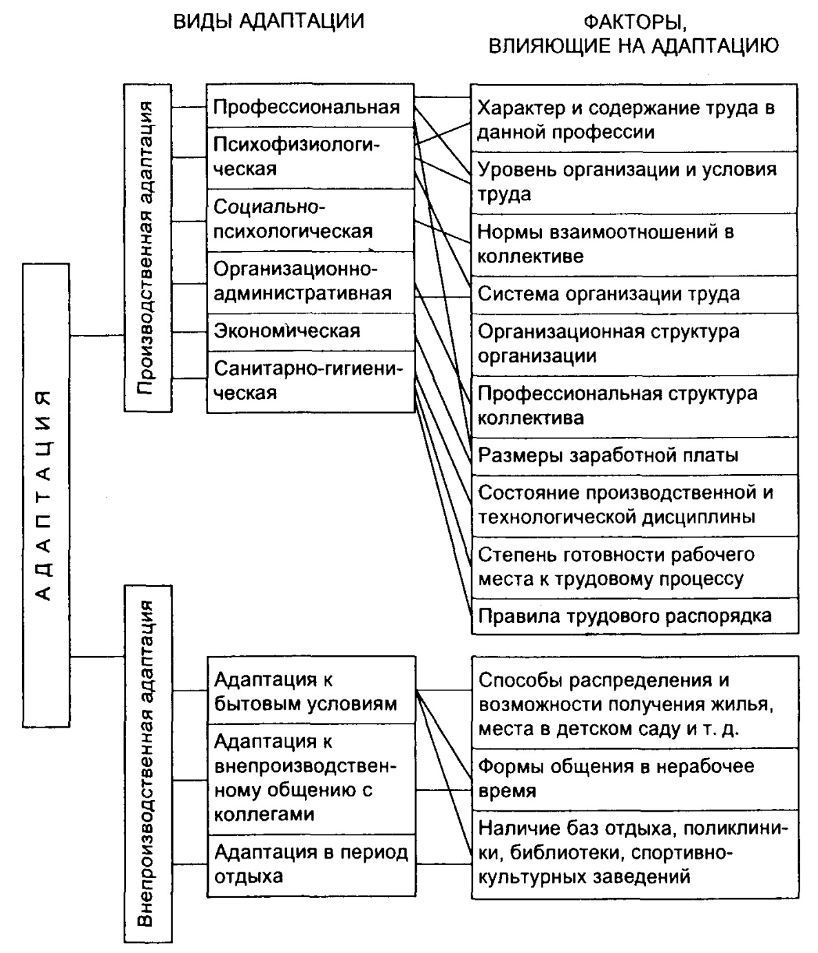 Схема классификации адаптаций