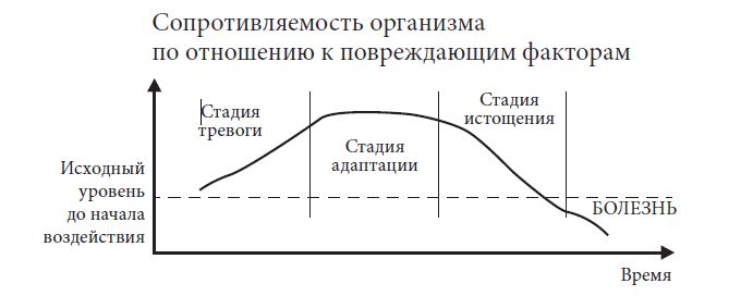 http://psychoportal.ru/data/images/Psyhco/neuro15.jpg