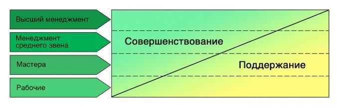 Соотношение деятельности по поддержанию и совершенствованию у разных уровней сотрудников