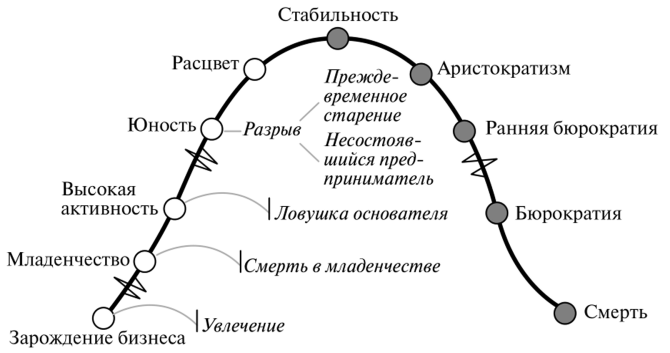 Стадии жизненного цикла предприятия