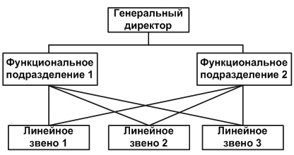 Функциональная организационная структура