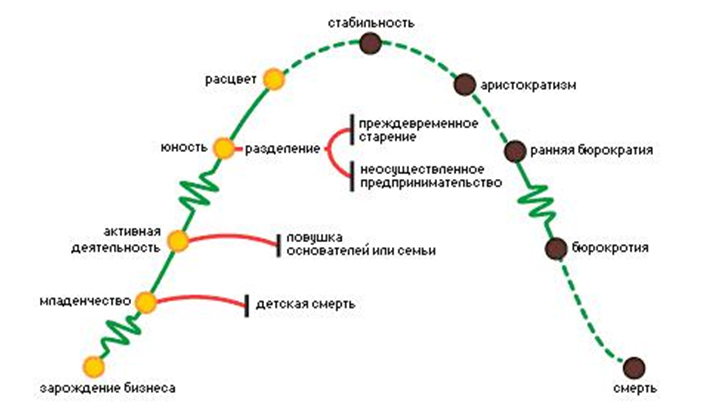 E:\менеджмент Котерина\adizes.jpg