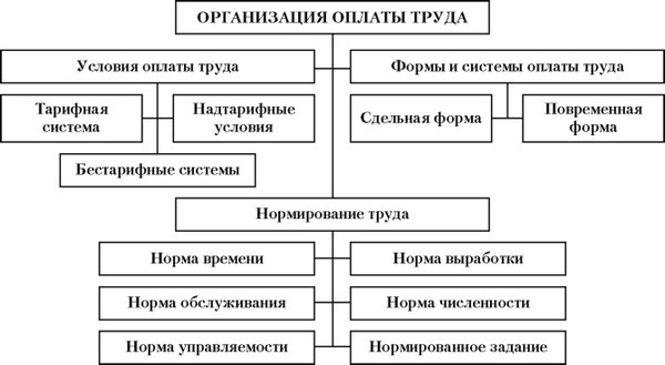 Организация труда схема