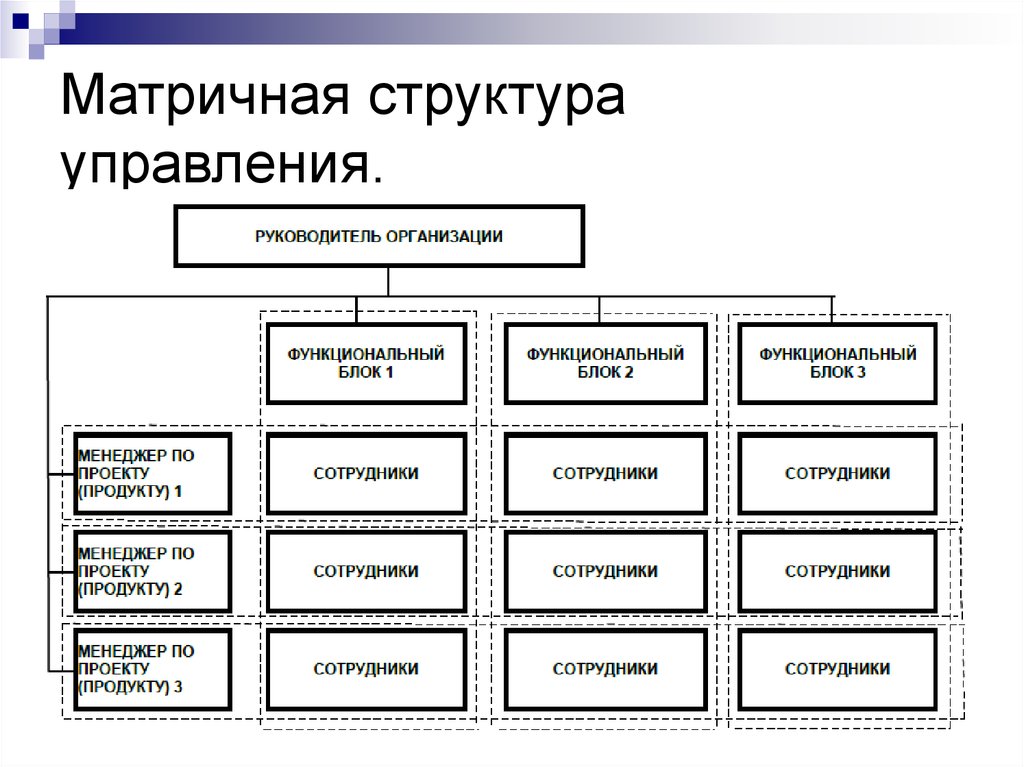 Основной недостаток матричного метода управления проектом