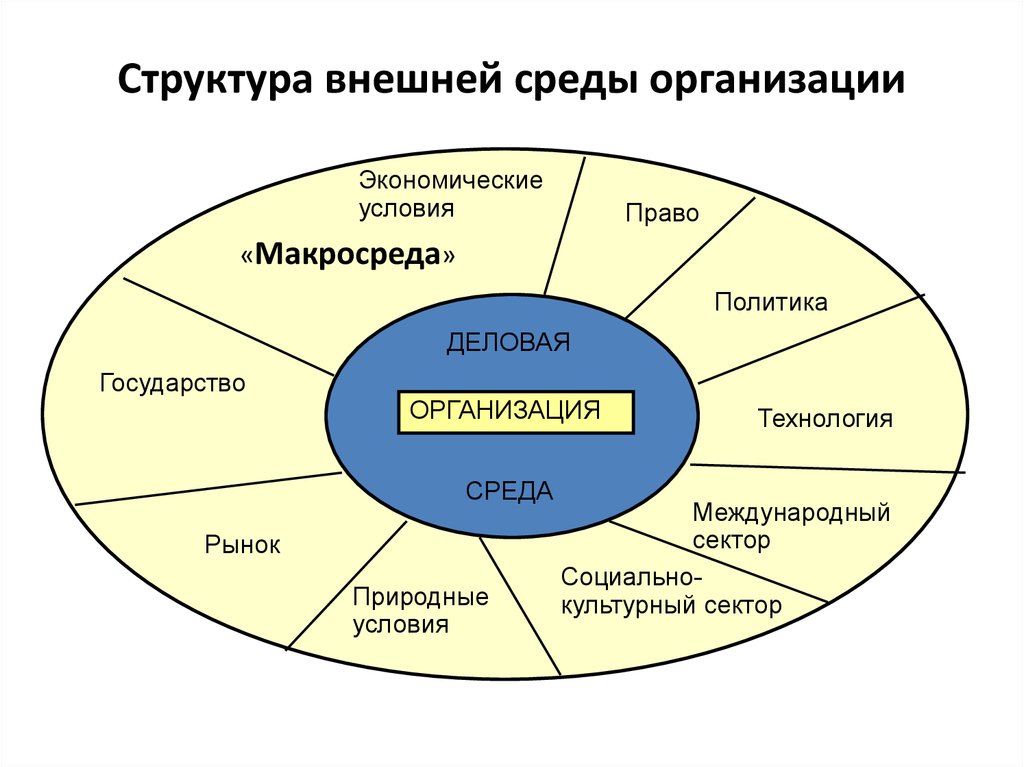 Внутренняя и внешняя среда организации в менеджменте схема