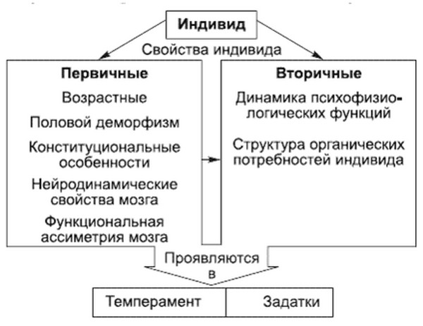 C:\Users\Оксана Конищева\Desktop\10256.jpg