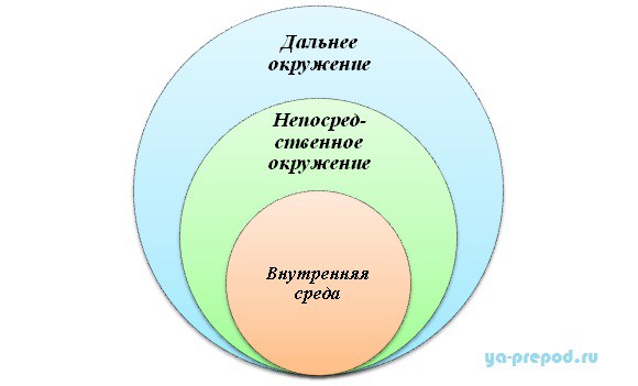 Пирог организационной седы