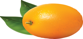 http://clipartmania.ru/uploads/gallery/main/82/oranges-20.png