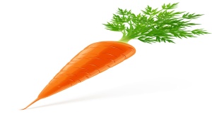 http://images.easyfreeclipart.com/798/vegetables-picture-vector-4-download-free-vectors-798452.jpg