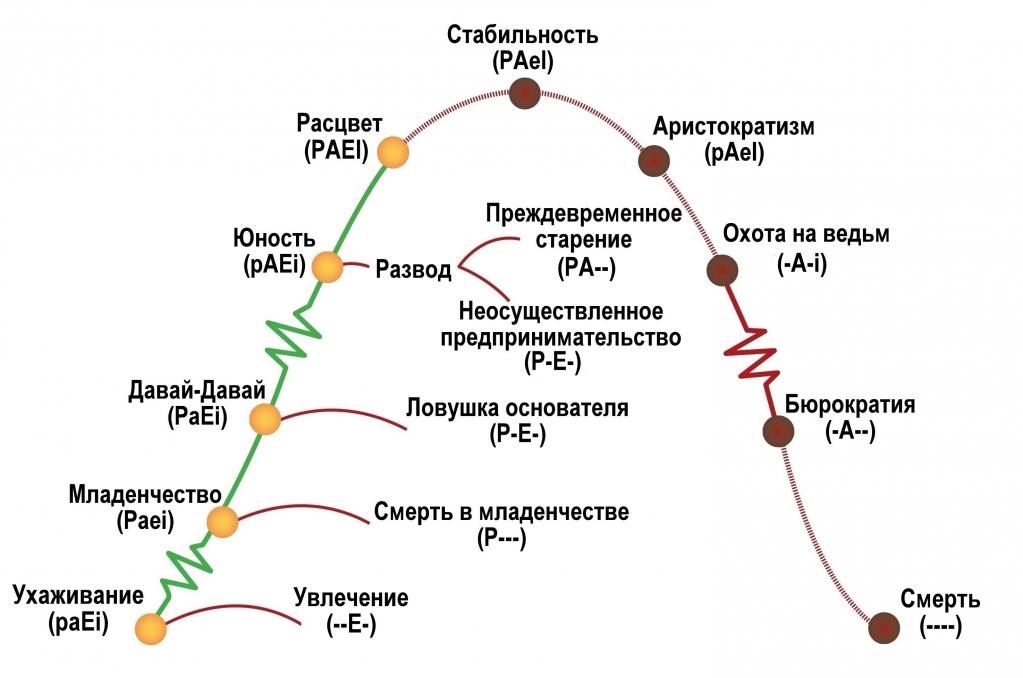 Таблетка для бабушки или почему важно понимать жизненный цикл ...