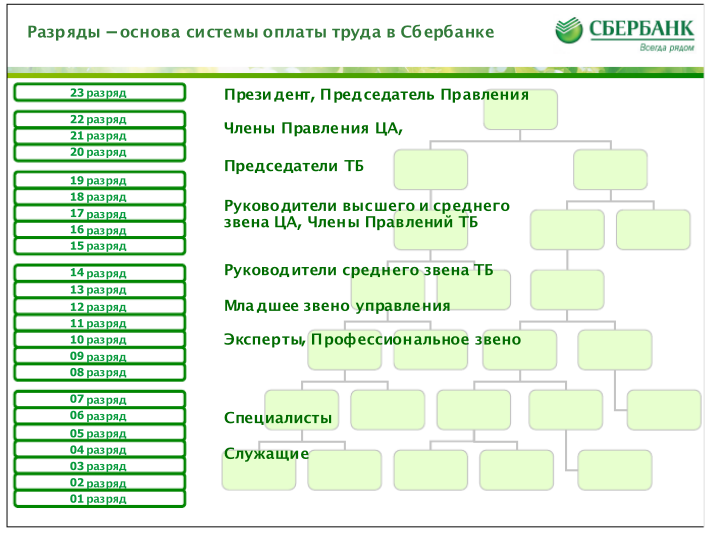 Сбербанк исполнительное. Система грейдов в Сбербанке. Система мотивации персонала в Сбербанке. Должности Сбербанка России. Сбербанк грейды и оклады.