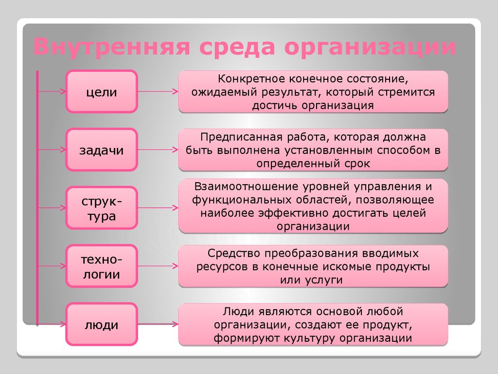 Конкретное состояние. Элементы внутренней среды предприятия. Компоненты внутренней среды организации. Внутренняя и внешняя среда организации в менеджменте. Составляющие элементы внутренней среды организации.